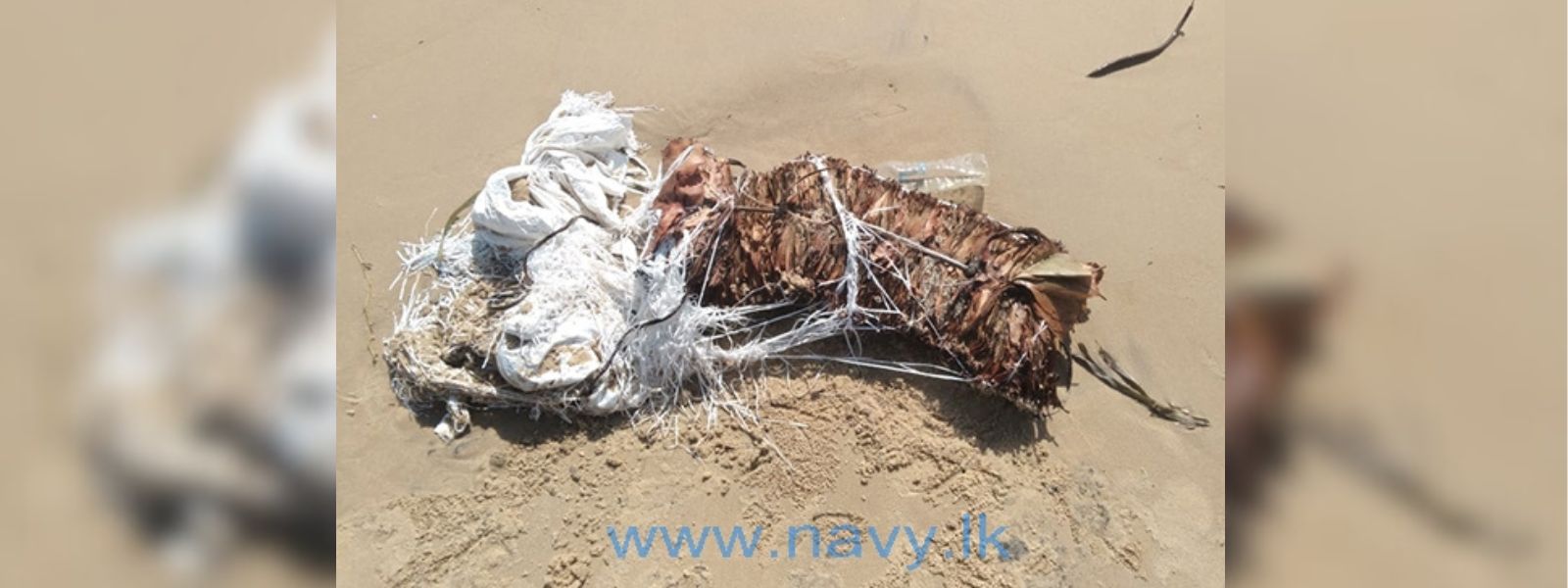 Navy takes hold of smuggled Tendu Leaves